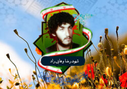 شهید رضا وهابی راد